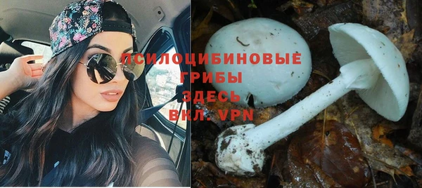 дурь Баксан