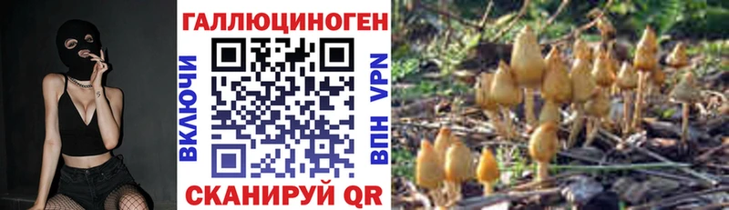 купить   Пятигорск  Псилоцибиновые грибы MAGIC MUSHROOMS 